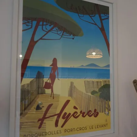 Les Citronniers Et Les Mimosas * Hyeres