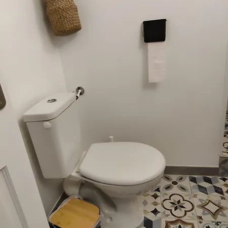 Les Citronniers Et Les Mimosas Apartment