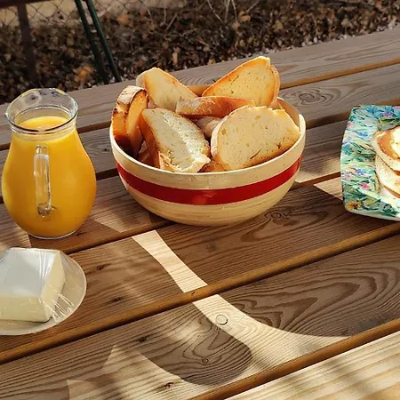 Les Citronniers Et Les Mimosas Hyeres