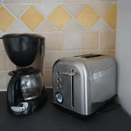 Les Citronniers Et Les Mimosas * Hyères