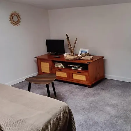 Les Citronniers Et Les Mimosas Daire Hyères