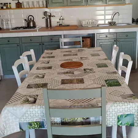 Les Citronniers Et Les Mimosas Daire *