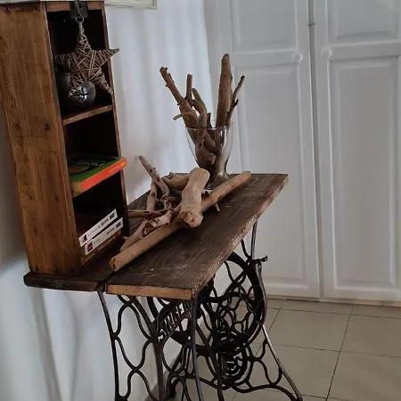 Les Citronniers Et Les Mimosas Daire