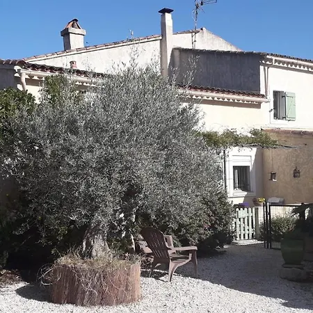 Les Citronniers Et Les Mimosas *