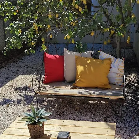 Les Citronniers Et Les Mimosas Daire Hyères