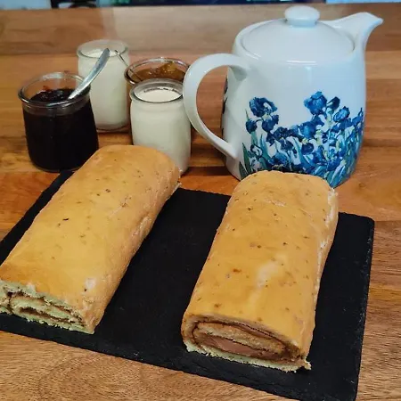 Les Citronniers Et Les Mimosas * Hyères