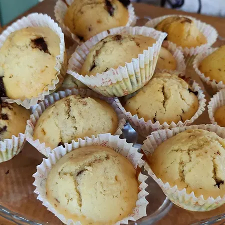 Daire Les Citronniers Et Les Mimosas